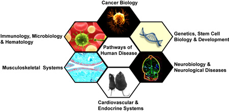 what can you do with phd in pathology