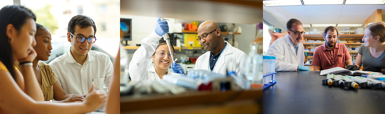 banner showing students and mentors in research settings