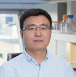 Hongbo Liu, PhD