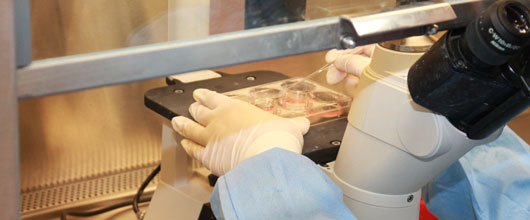 Image of doctor testing samples in a petri dish