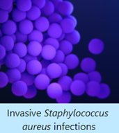 Invasive Staphylococcus aureus infection