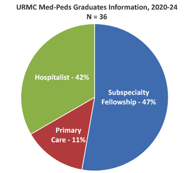 Pie chart showing paths of recent graduates