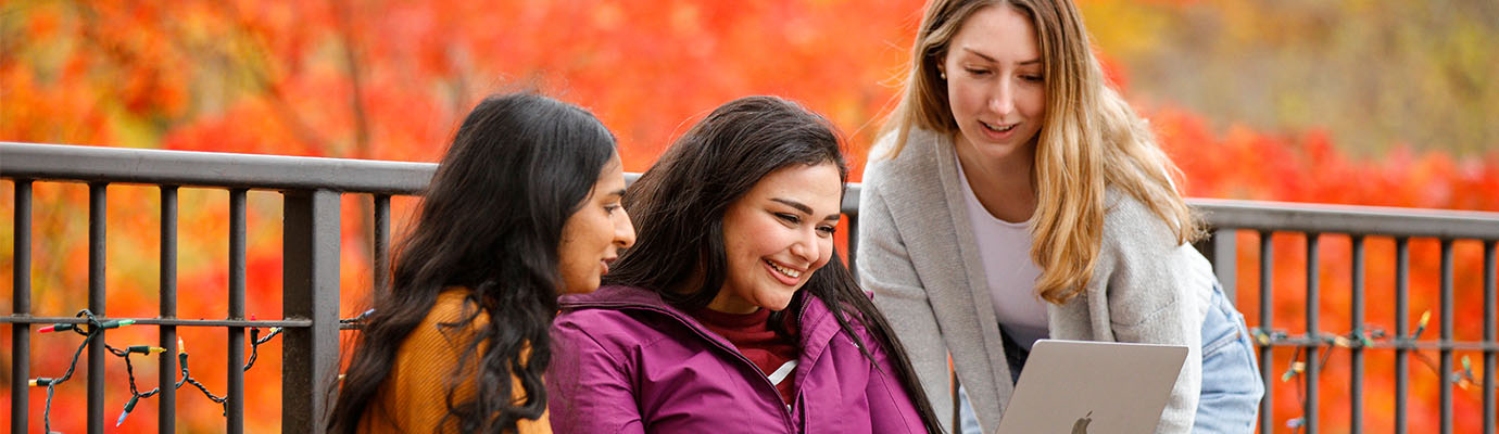 students studying in the park