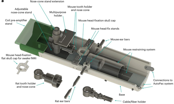 functional holder for animal head in fMRI