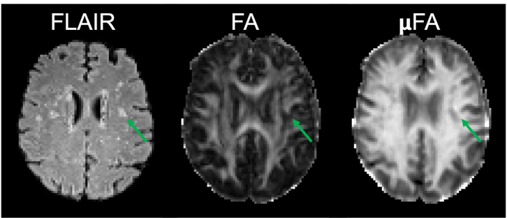 Uddin Project 4 - Fig4