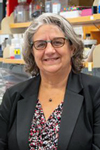 Paula Vertino, PhD