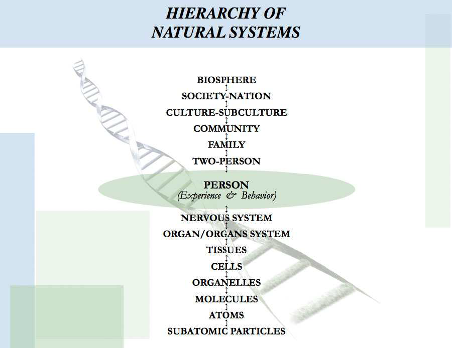 The Biopsychosocial Approach