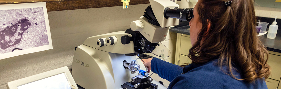 Woman looking through microscope