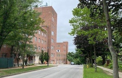 Small Crane on Mt. Vernon Saturday 7/29