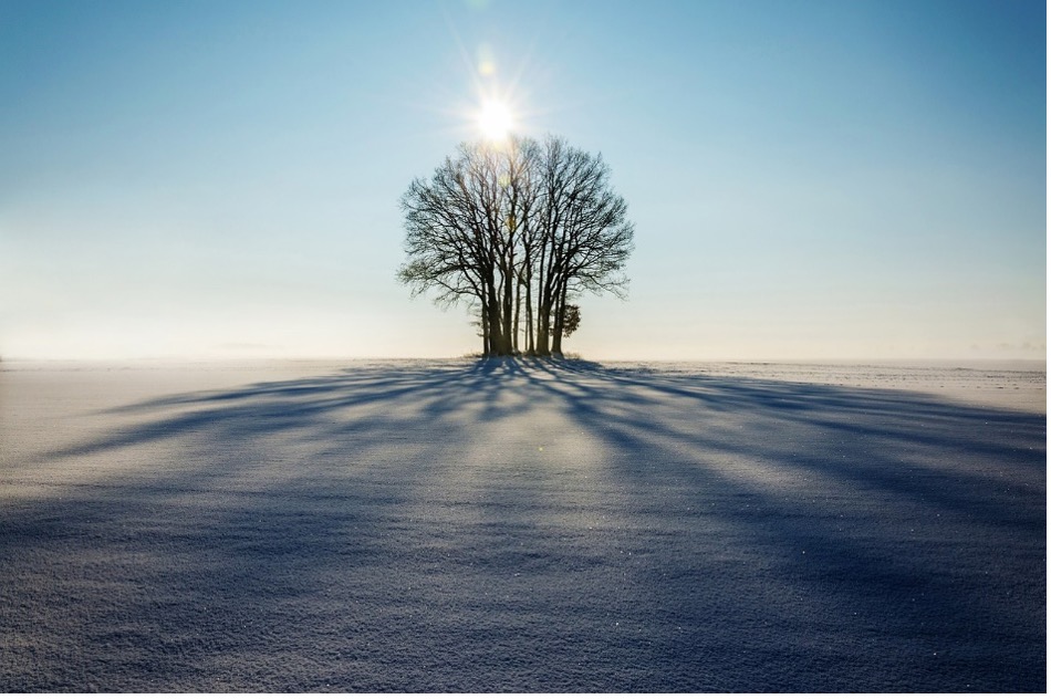 Navigating Seasonal Depression: Tips for a Brighter Winter 