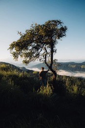 Stress Tips from the Field: Journey through Forest Bathing